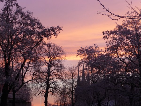 Winterliche Morgenstimmung in Erfurt